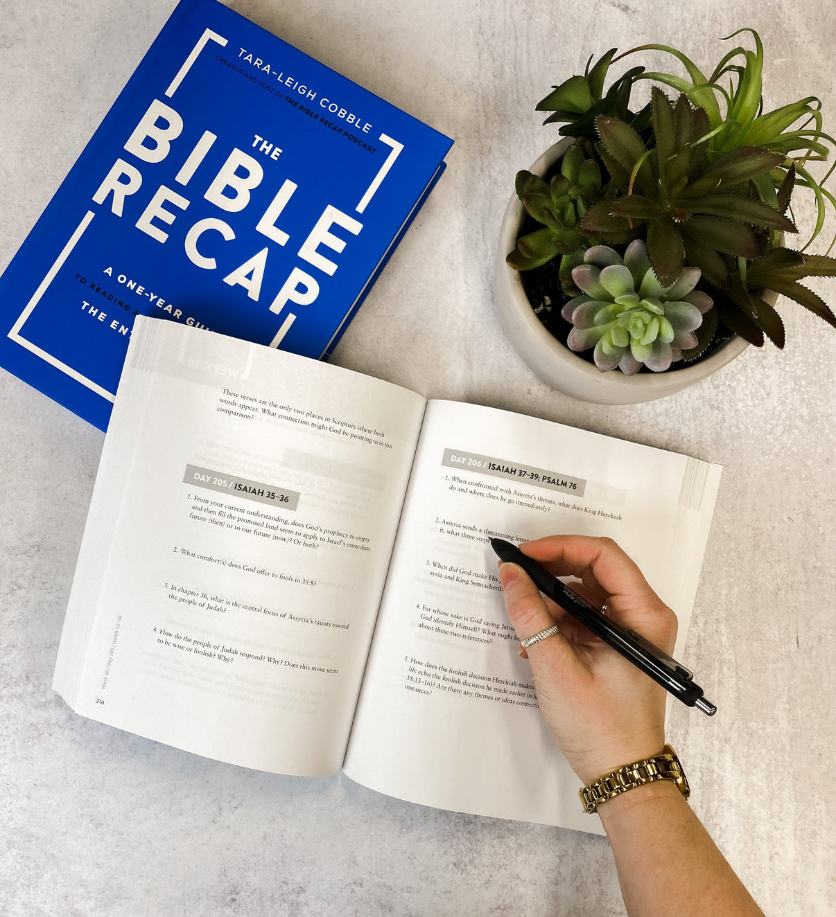 The Bible Recap Bundle – Sunday